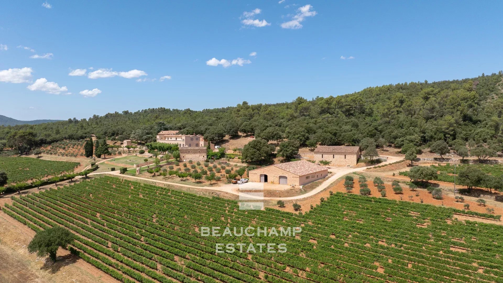 Château avec domaine viticole