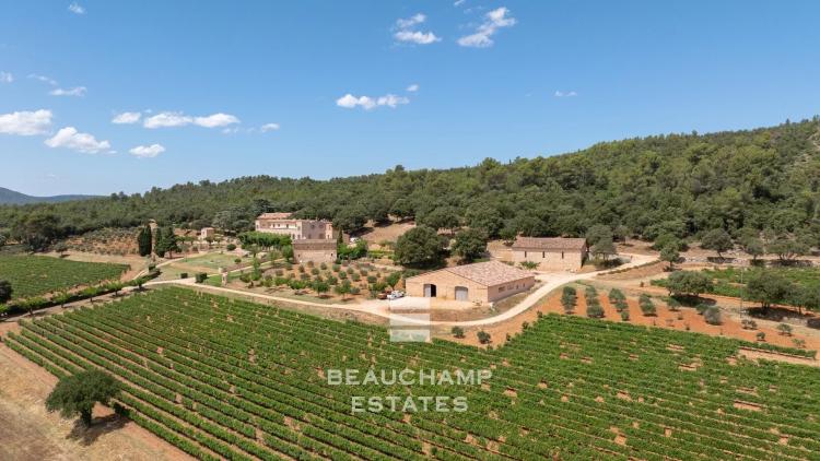 Château avec domaine viticole