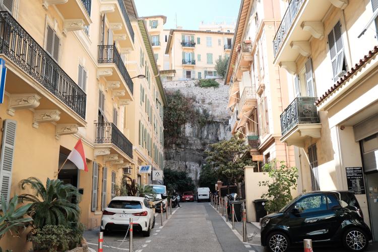 MONEGHETTI - APPARTEMENT SOUS LOI AU CALME ABSOLU DANS UN PETITE COPROPRIETE - 3P - VILLA MONICA