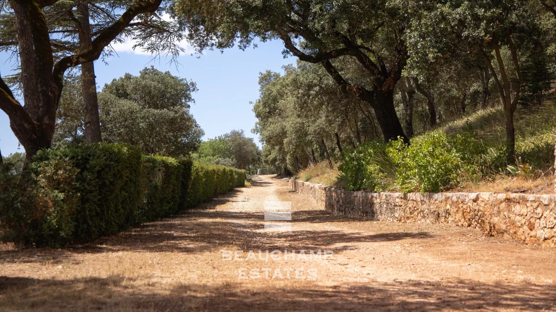 Château avec domaine viticole