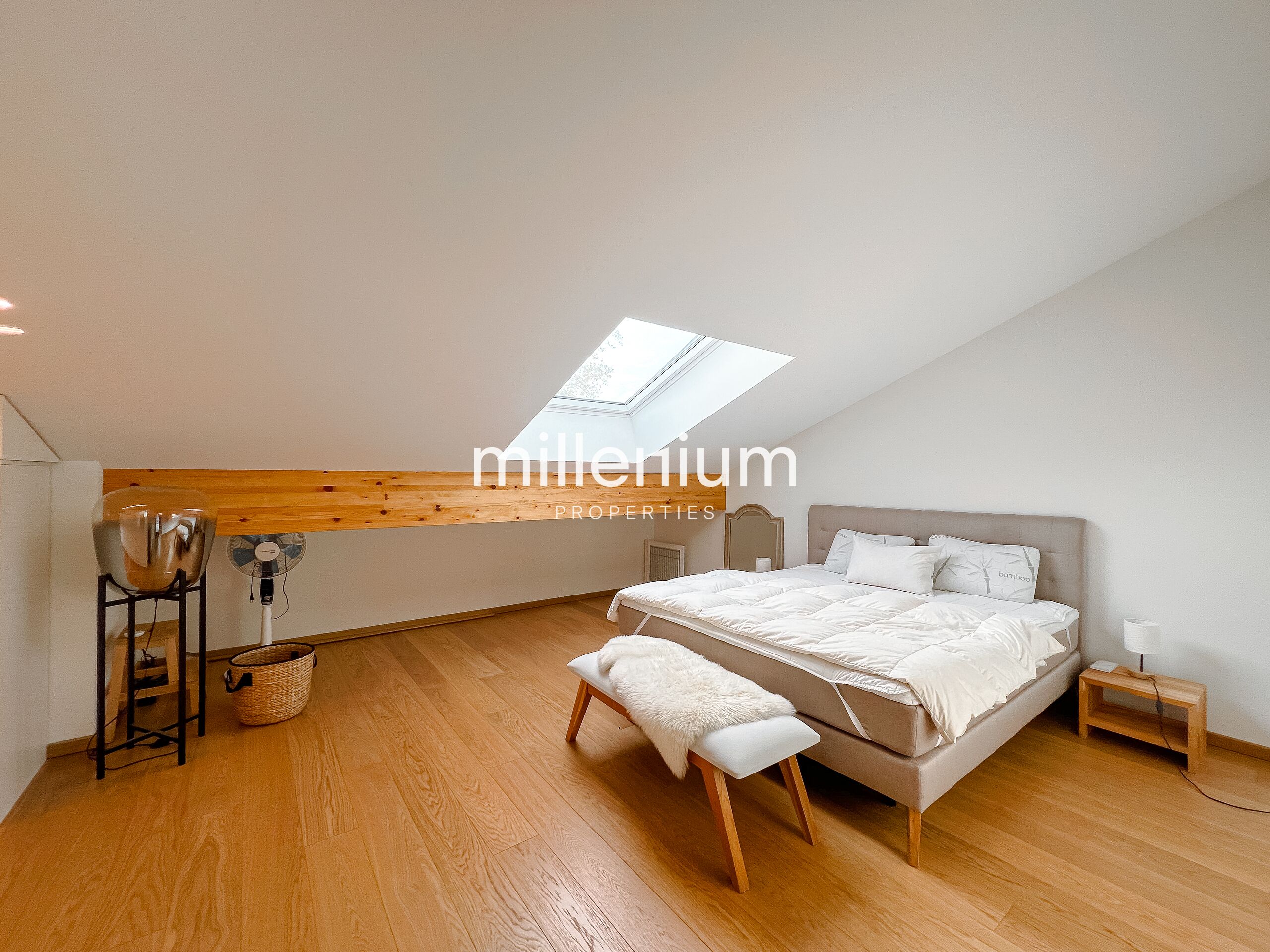 Magnifique duplex à Vésenaz