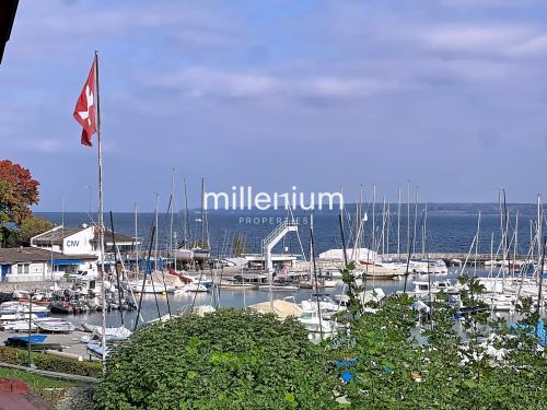 Magnifique villa avec jardin à deux pas du lac