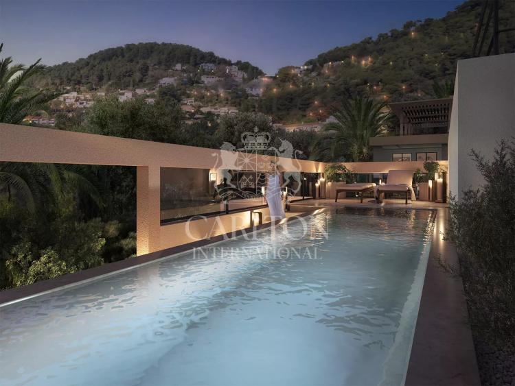 PENTHOUSE AVEC COULOIR DE NAGE PRIVE'