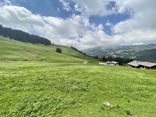 Vente de parts coopérative - Attique Montagne en Station