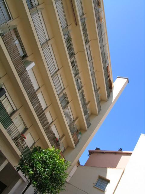 Cormoran