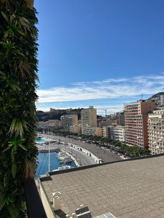 TRES BEAU 2 PIECES SUR LE PORT HERCULE