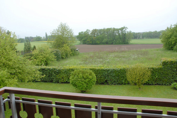 436sM_lookmove_237965332_2.jpg