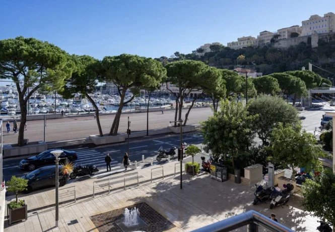 Bel appartement avec vue sur le port Hercule et le circuit de Formule 1