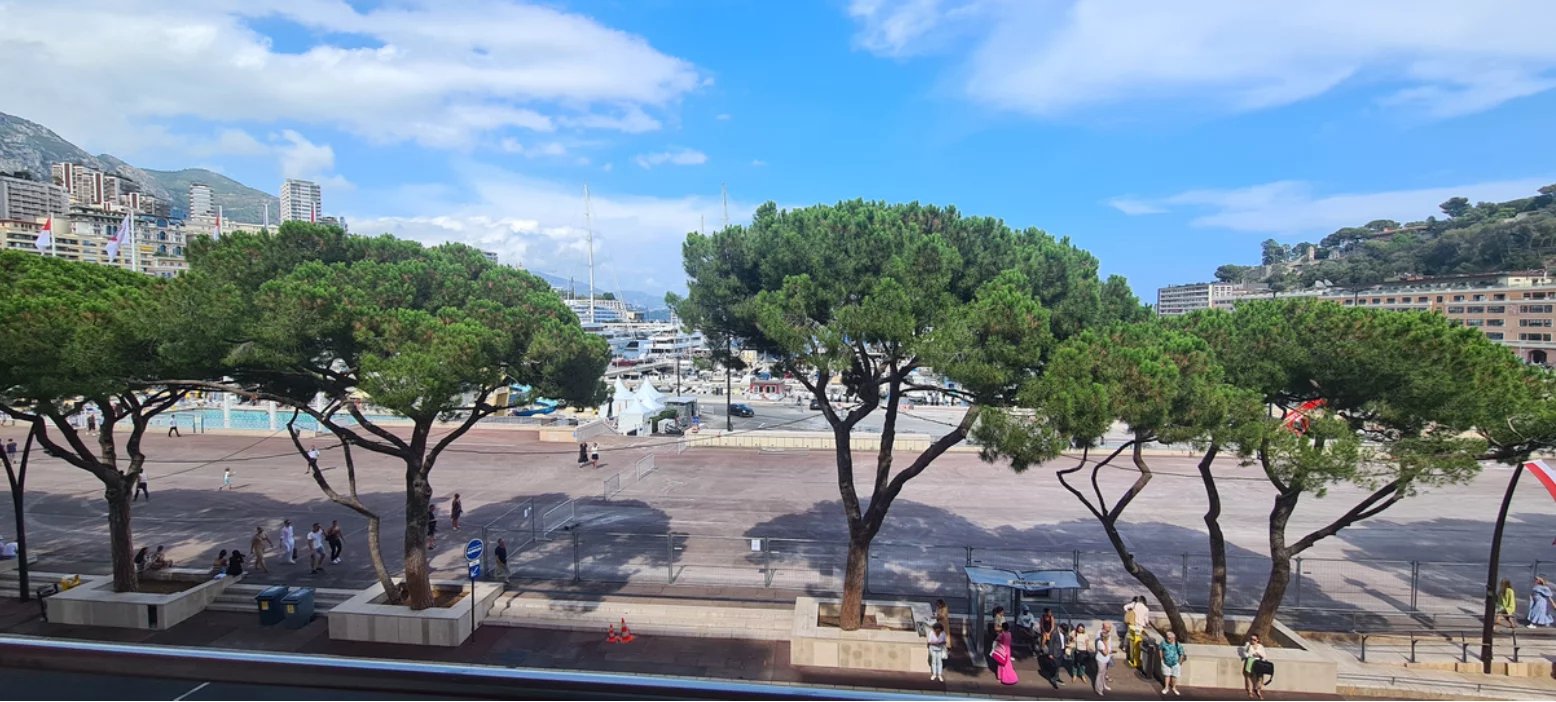 Appartement 3 pièces avec vue port et Grand Prix