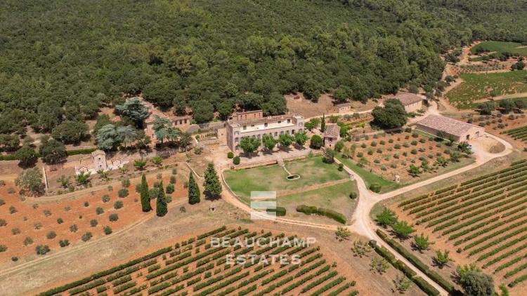 Château avec domaine viticole
