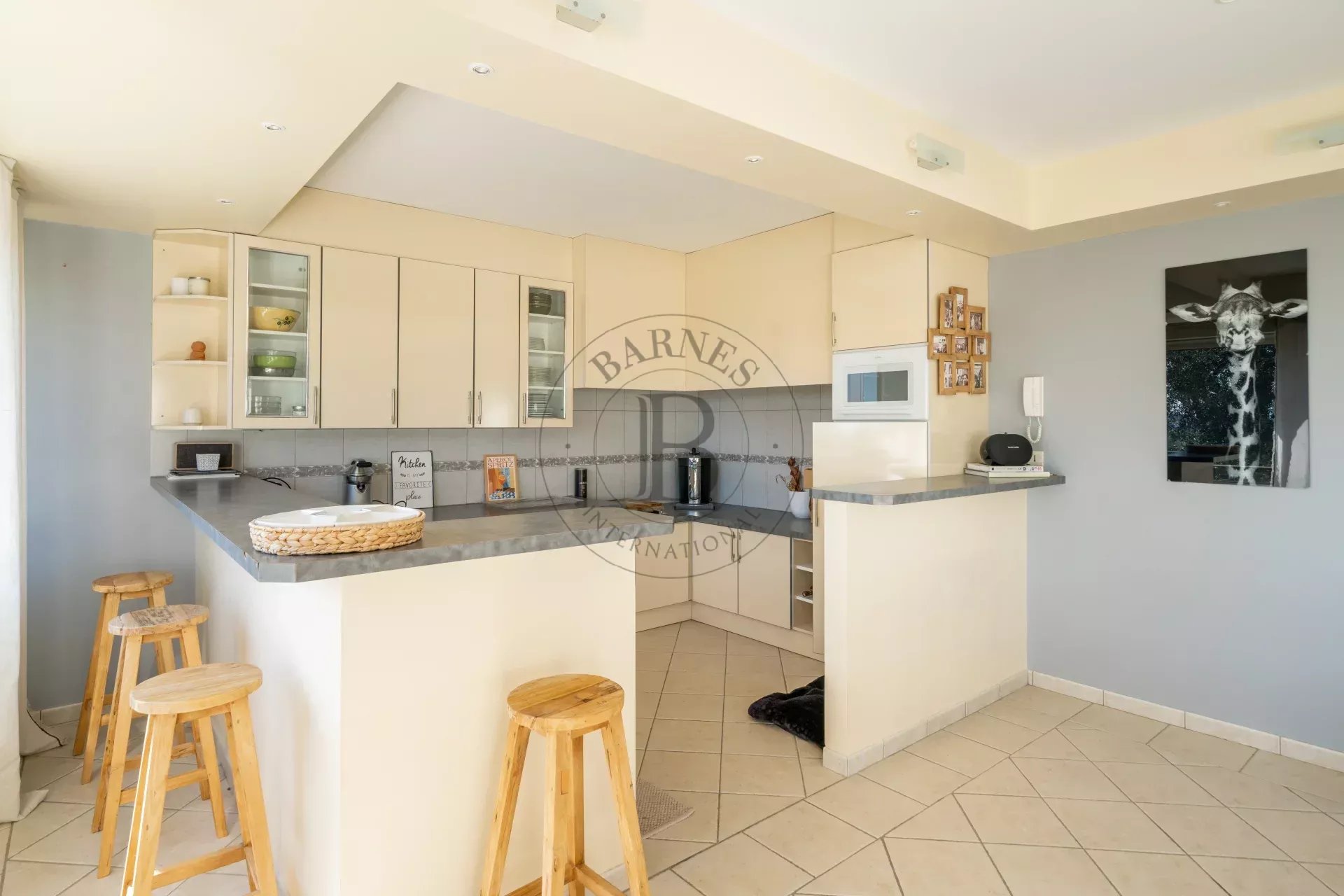 MOUGINS - VILLA NÉO-PROVENÇALE - VUE PANORAMIQUE