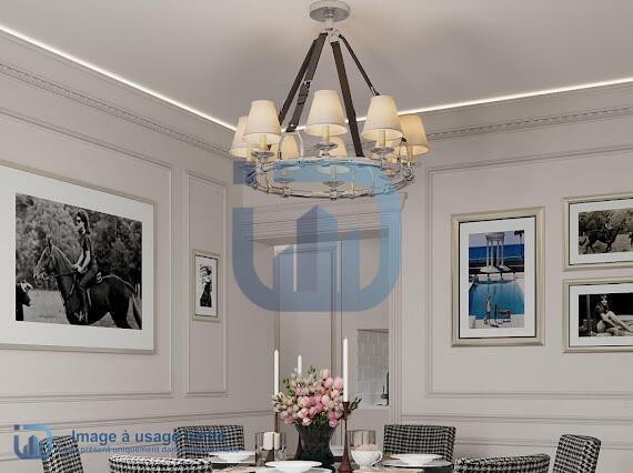 SPACIEUX APPARTEMENT ENTIEREMENT RESTRUCTURE