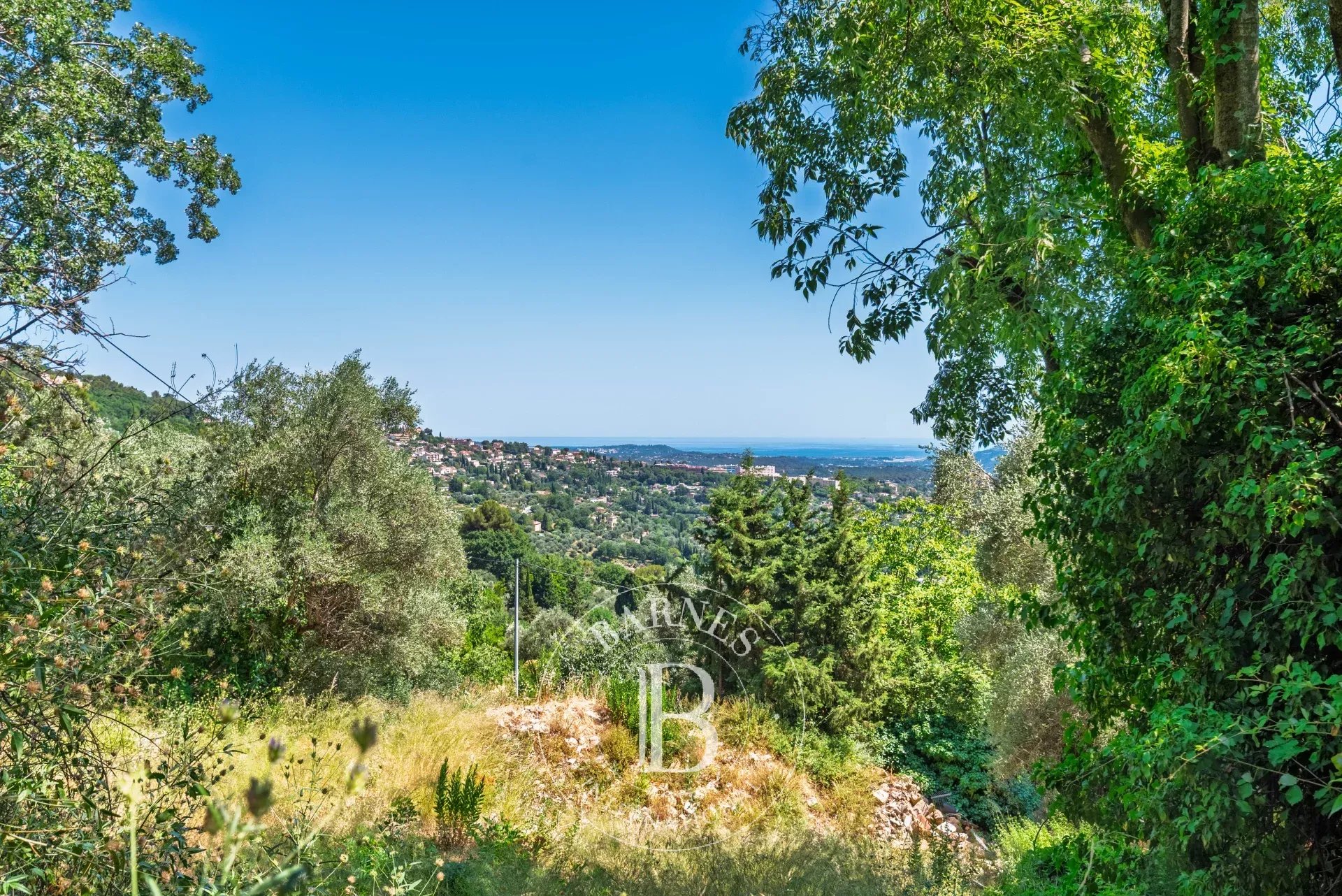 Grasse - Saint François - Terrain viabilisé vue mer - 2300m²
