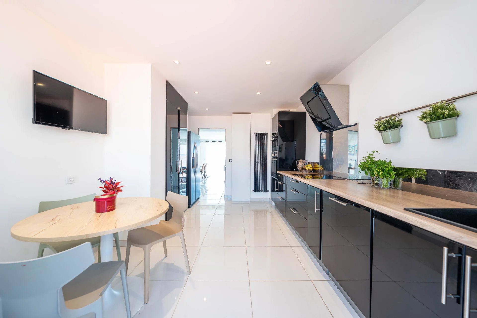CANNES CENTRE PENTHOUSE TOIT TERASSE