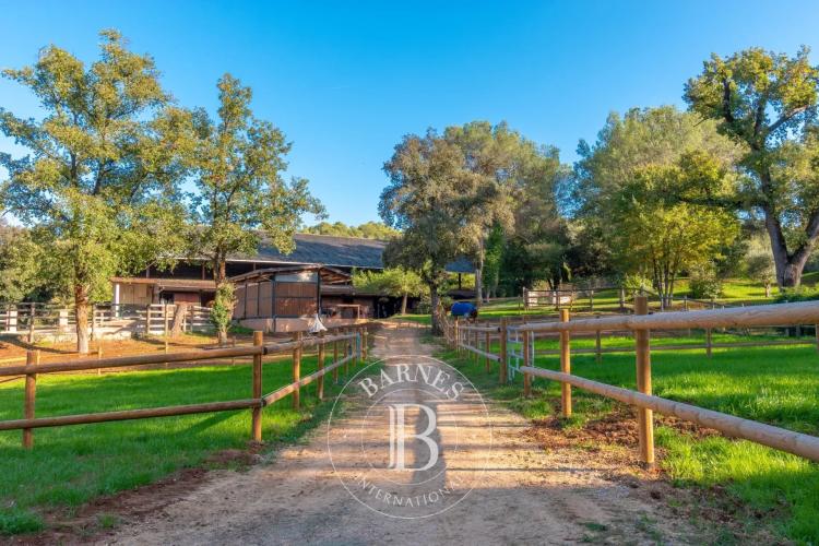 Entre Cannes et Monaco - Unique propriété équestre de près de 8 hectares avec bastide en pierre