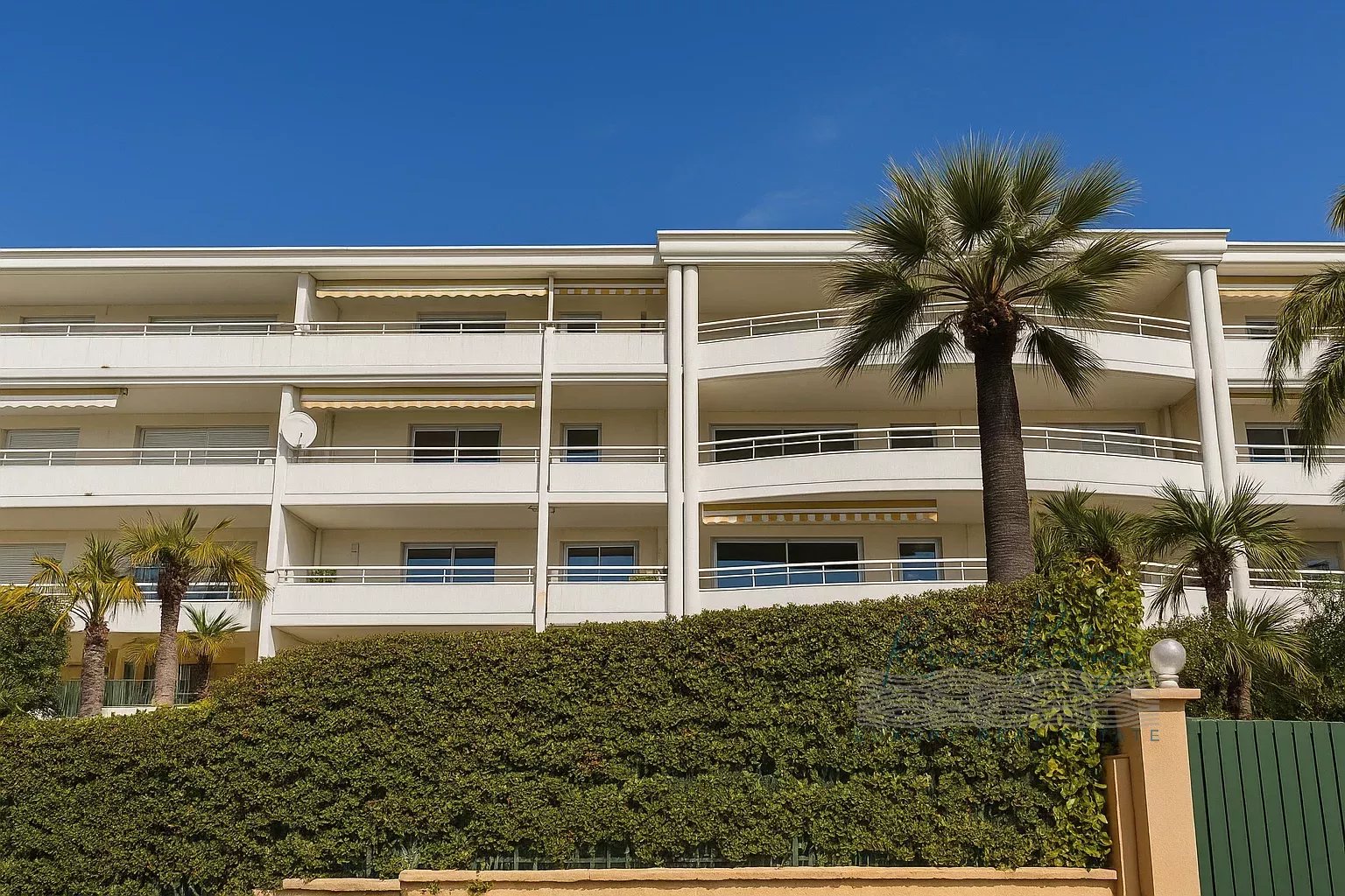 Cannes Prince de Galles