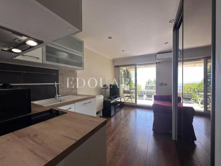 Petit studio en très bon état avec terrasse couverte, agréable jardin et magnifique vue mer panoramique