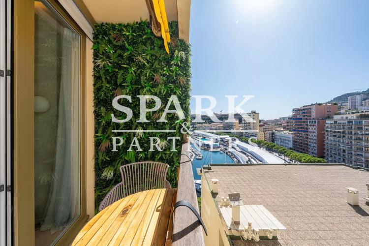 Monaco - Port - Élégant appartement 2 pièces - aperçu Port