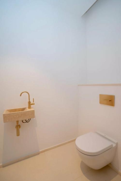 GlcYr_3p-exotique13-1765450820.jpg