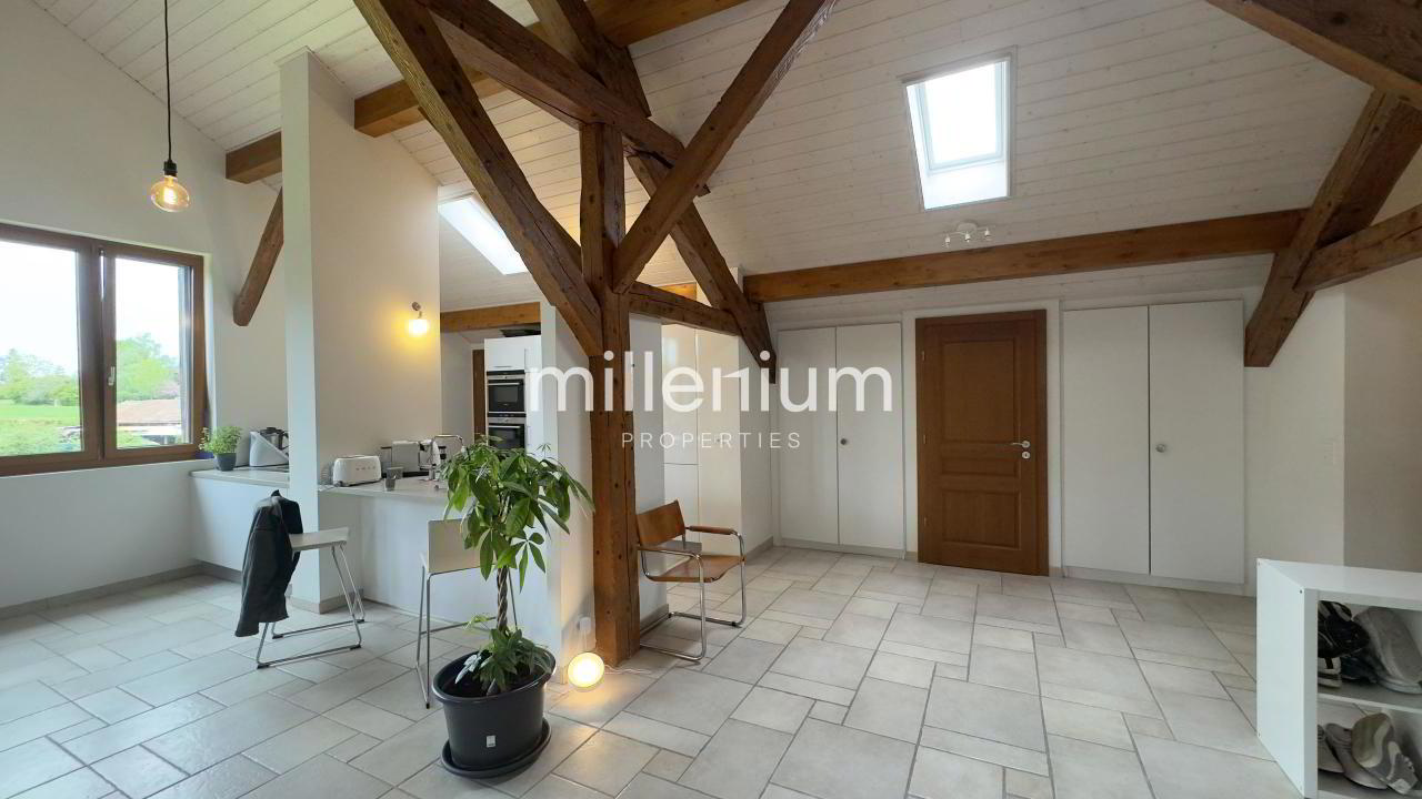 IrAXs_lookmove_237716040_5.jpg