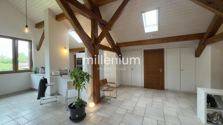 IrAXs_lookmove_237716040_5.jpg