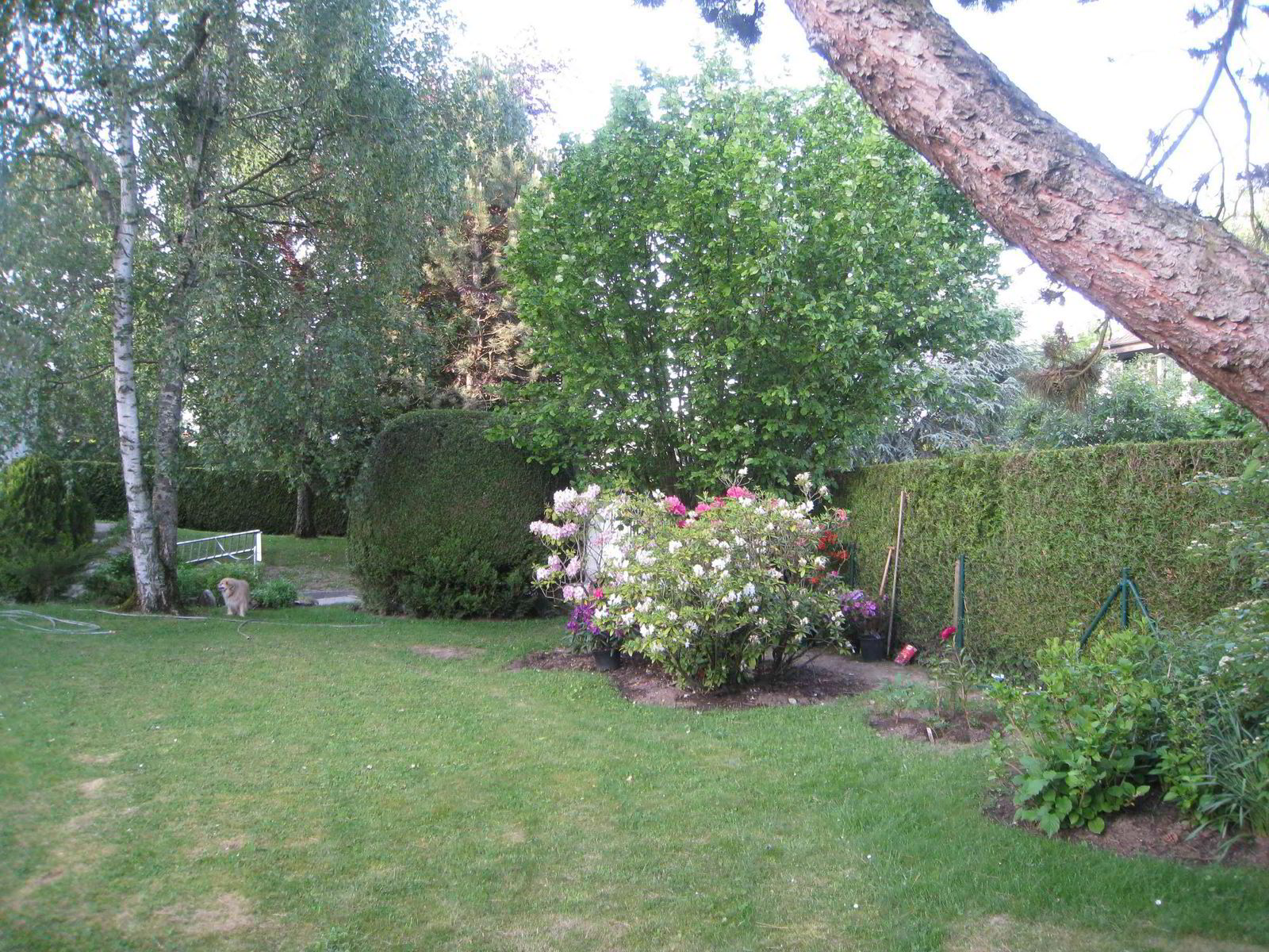 lGfQD_lookmove_237468822_8.jpg