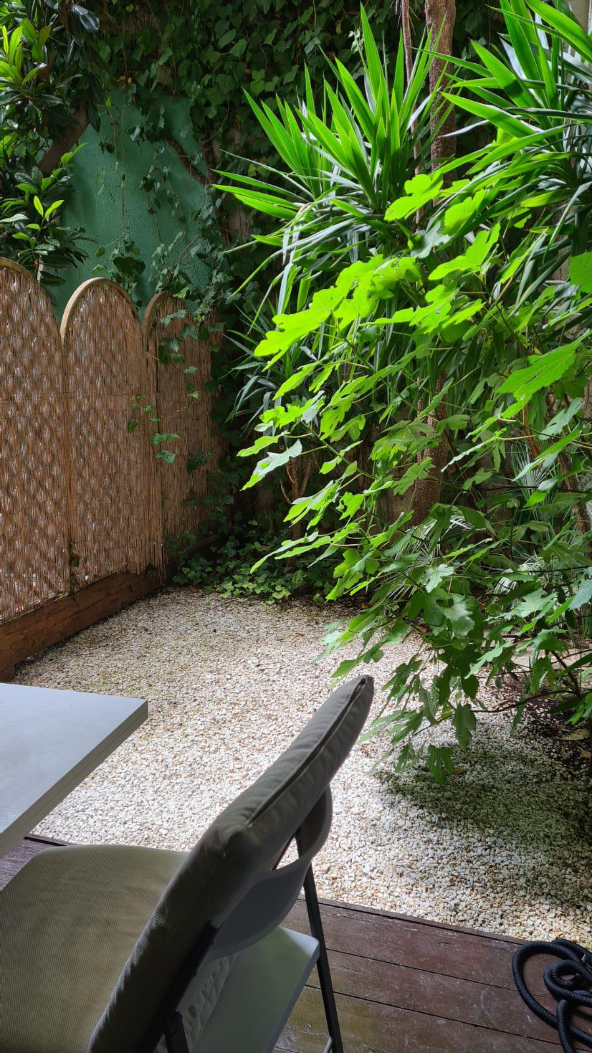 JARDIN EXOTIQUE : studio en location avec jardin privatif