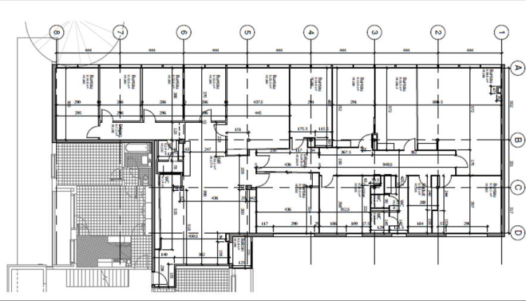 SzANI_kaban-bien-5124254.png
