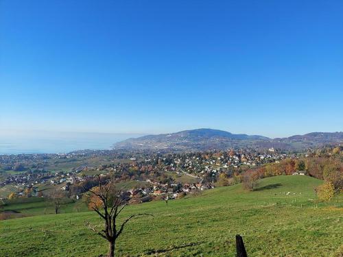 House for sale, 1807 (Blonay - Saint-Légier, Switzerland)