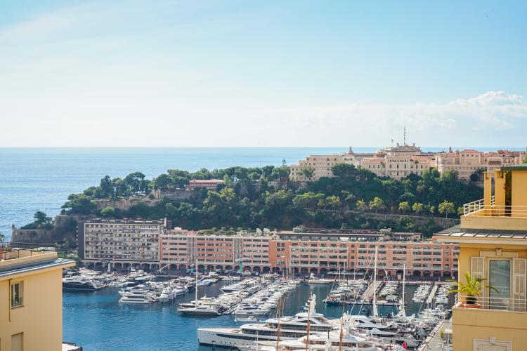 yaMpz_zoom-palais-vue-mer-monte-carlo-1756970421.jpg